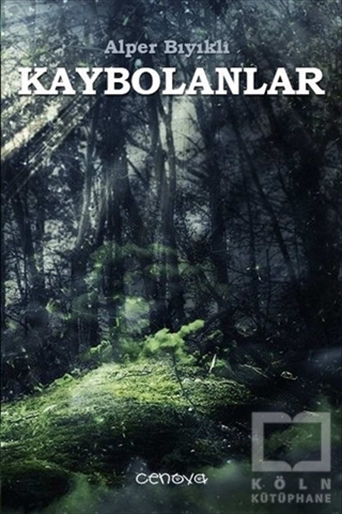 Alper BıyıklıRomanKaybolanlar