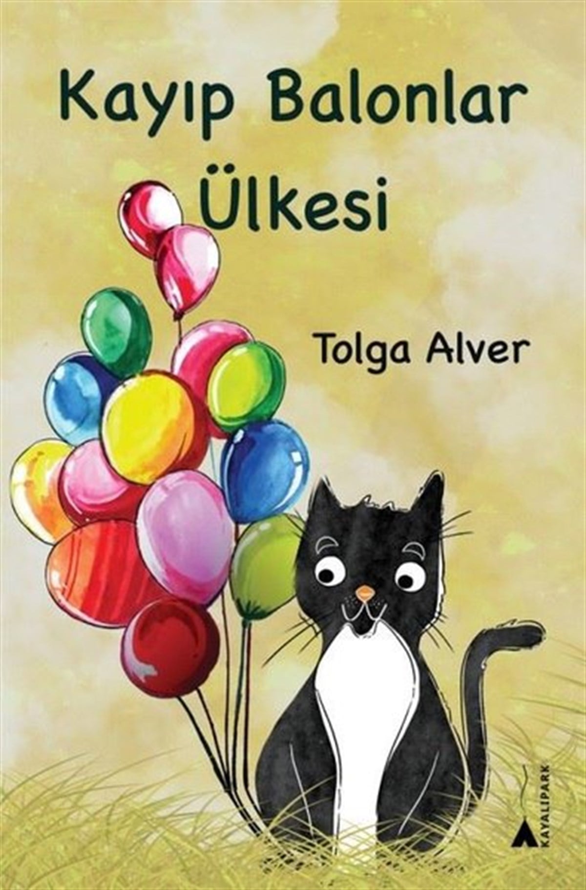 Tolga AlverÇocuk Gençlik RomanlarıKayıp Balonlar Ülkesi