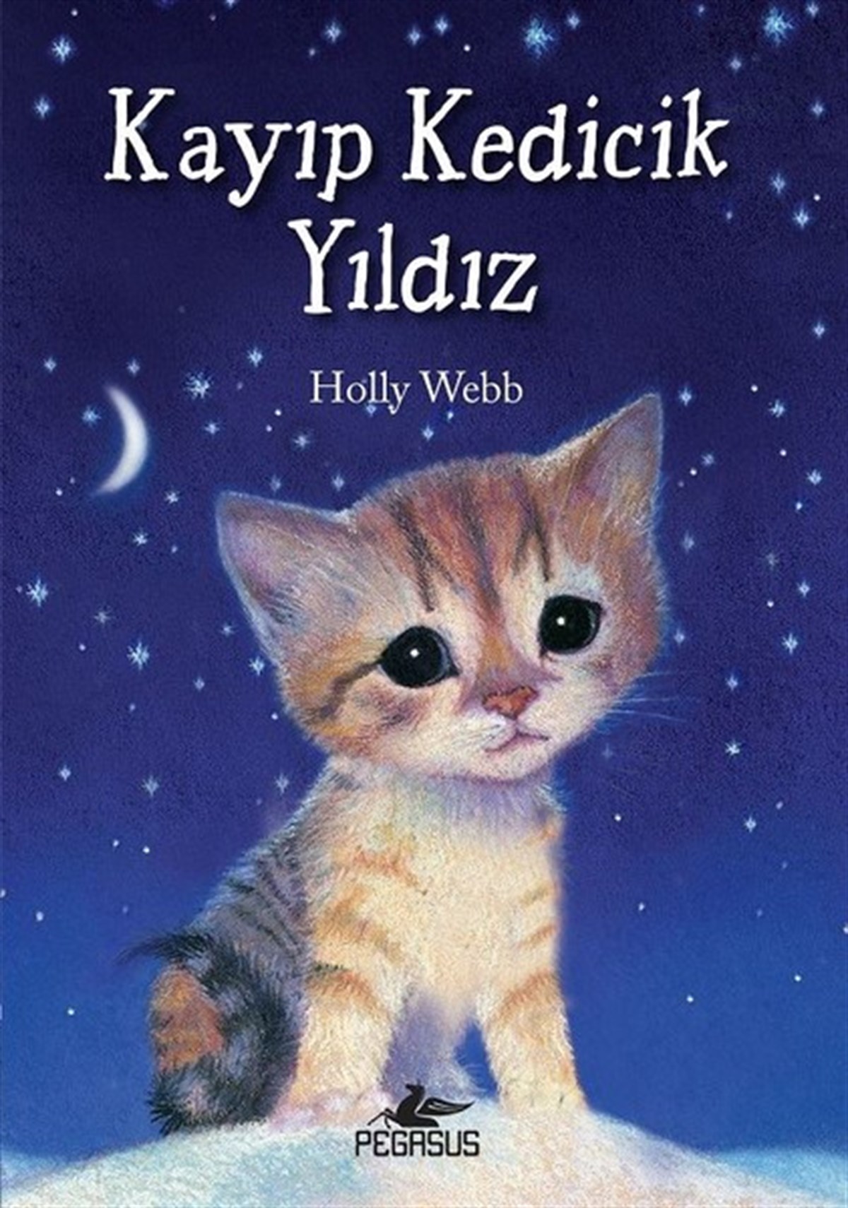 Holly WebbÇocuk Masal KitaplarıKayıp Kedicik Yıldız
