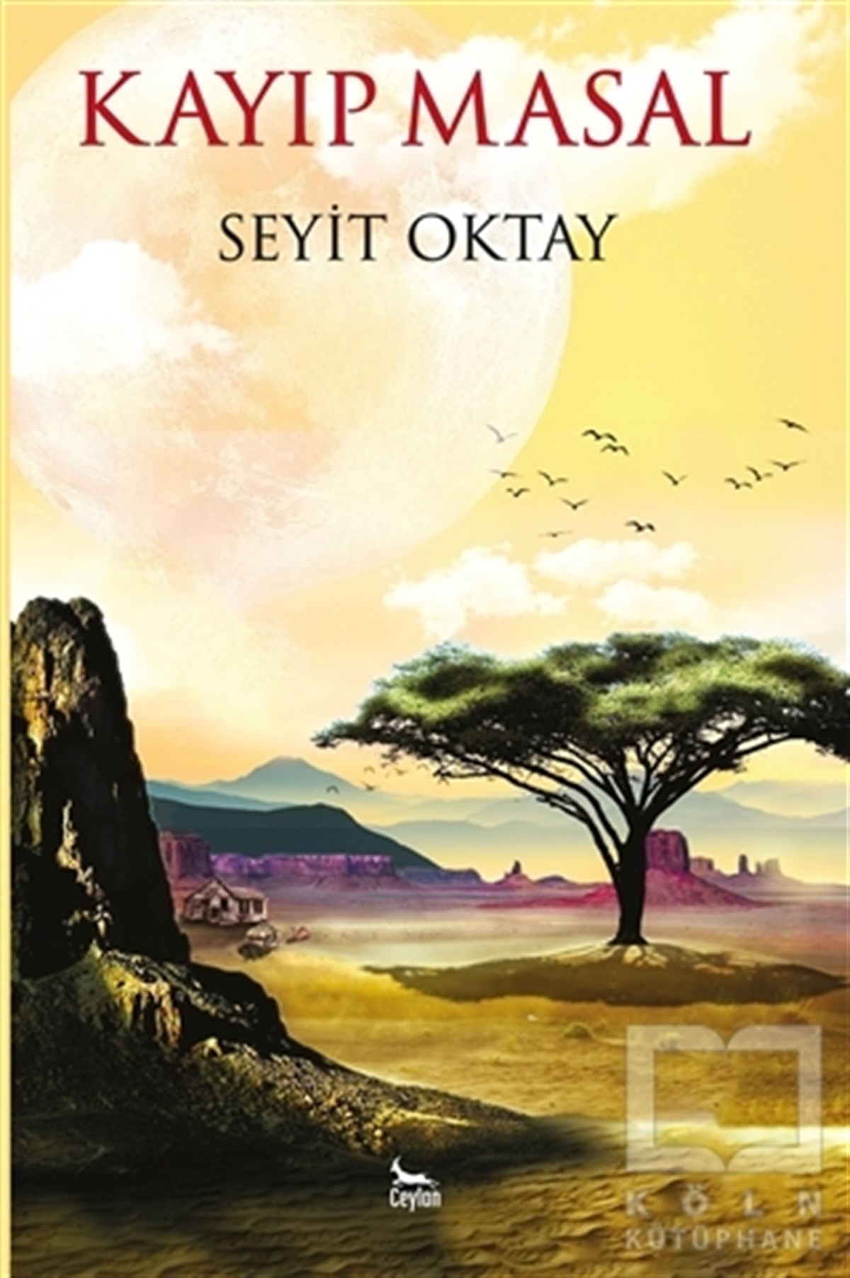 Seyit OktayTürkçe RomanlarKayıp Masal