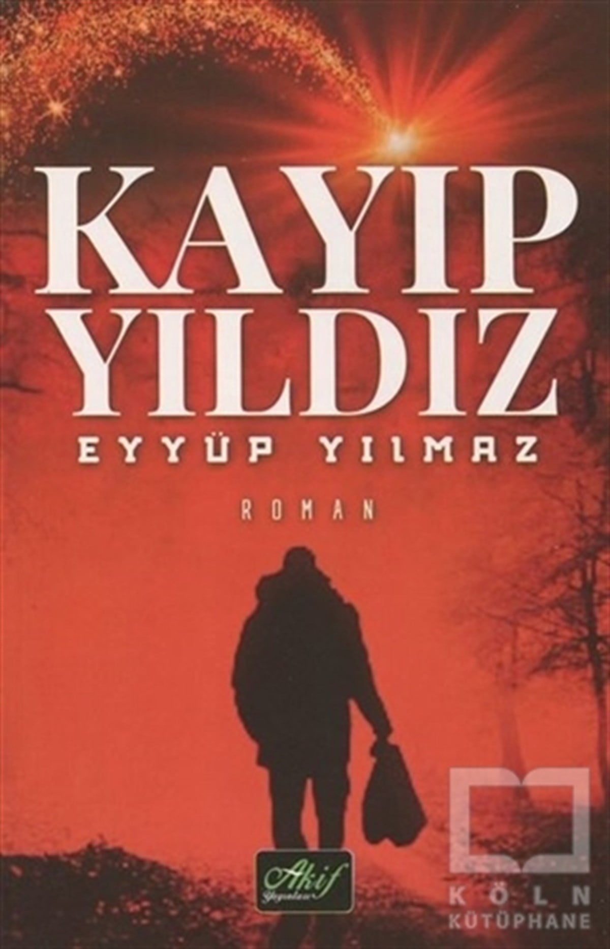Eyyüp YılmazTürkçe RomanlarKayıp Yıldız