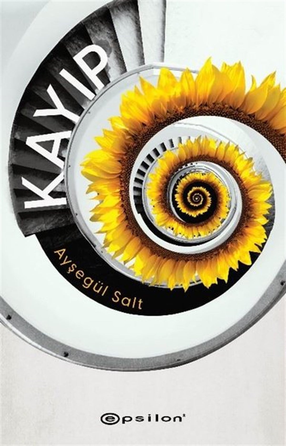 Ayşegül SaltTürkiye RomanKayıp