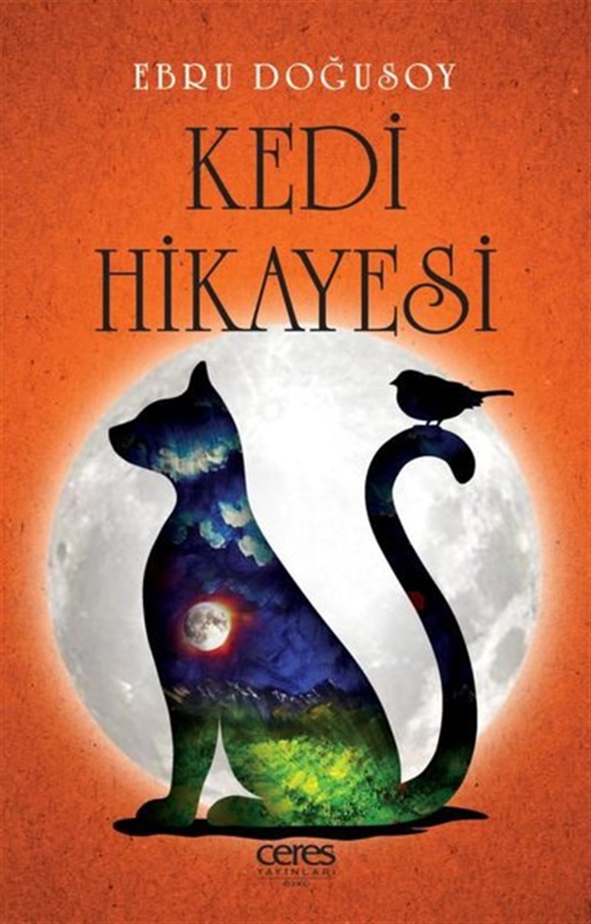 Ebru DoğusoyTürkiye RomanKedi Hikayesi