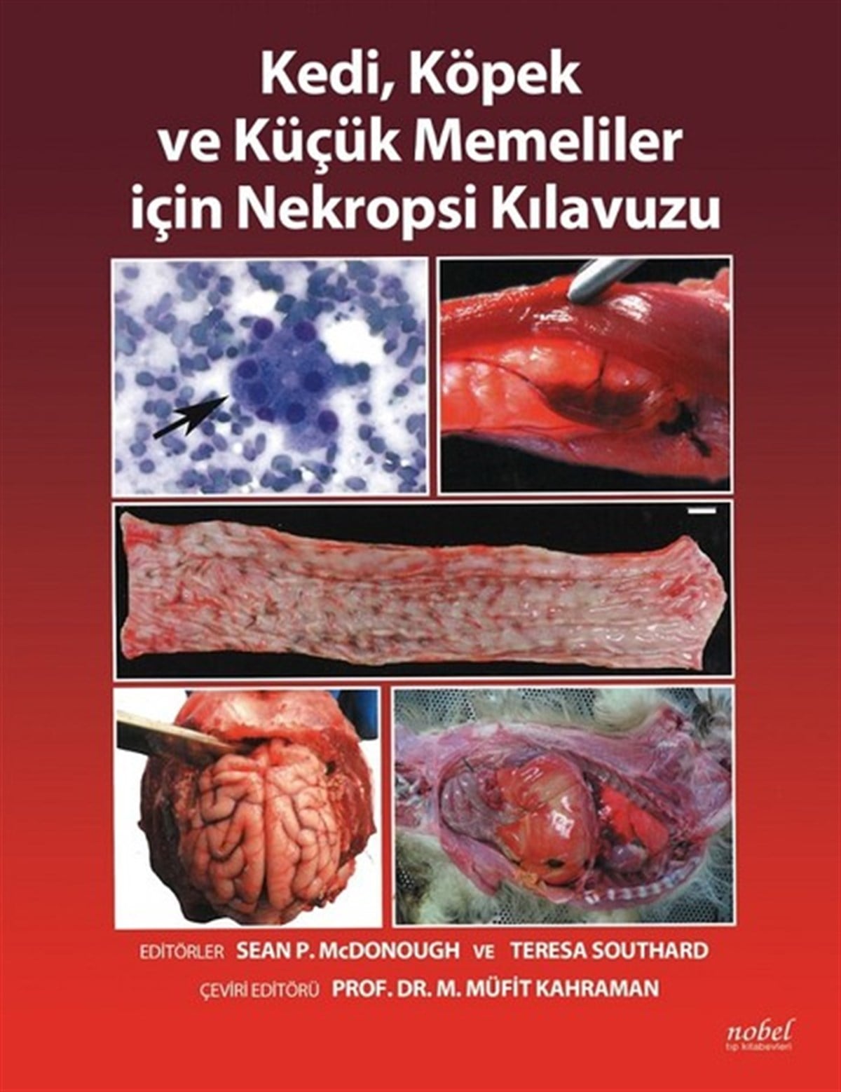 KolektifBiyoloji/GenetikKedi Köpek ve Küçük Memeliler için Nekropsi Kılavuzu