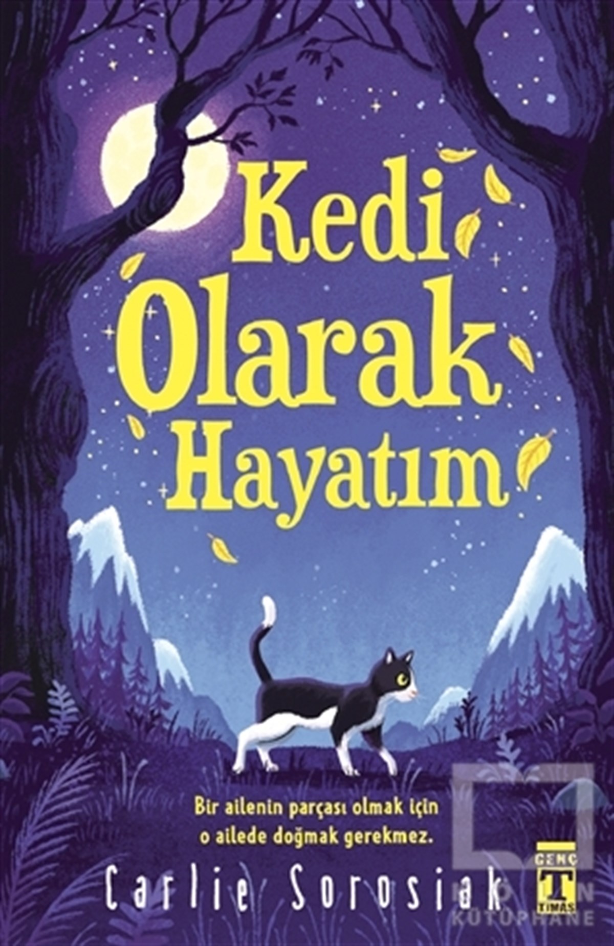 Carlie SorosiakÇocuk RomanlarıKedi Olarak Hayatım