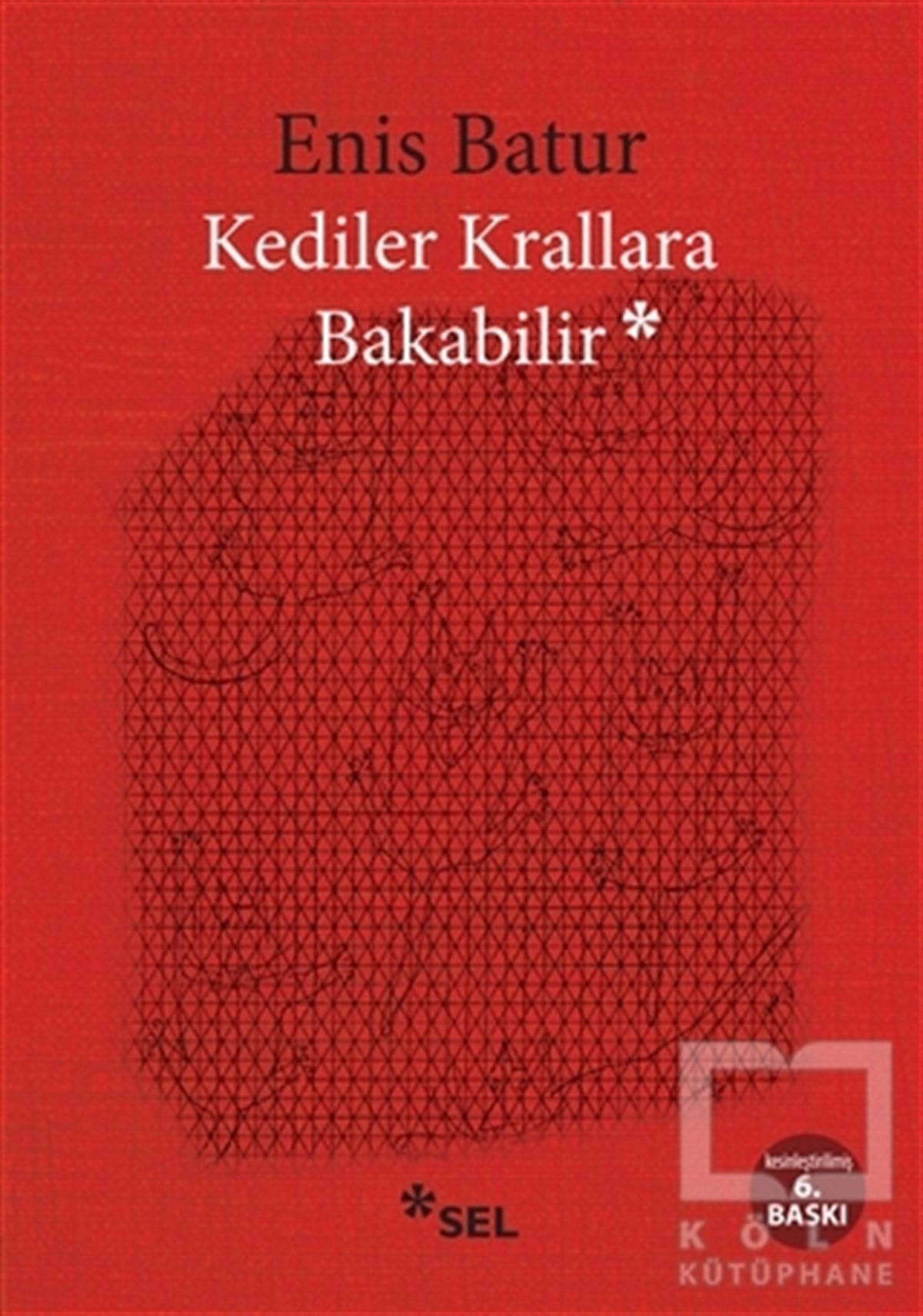 Enis BaturDeneme KitaplarıKediler Krallara Bakabilir