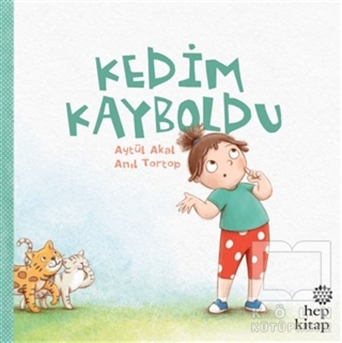 Aytül AkalOkul Öncesi Resimli KitaplarKedim Kayboldu