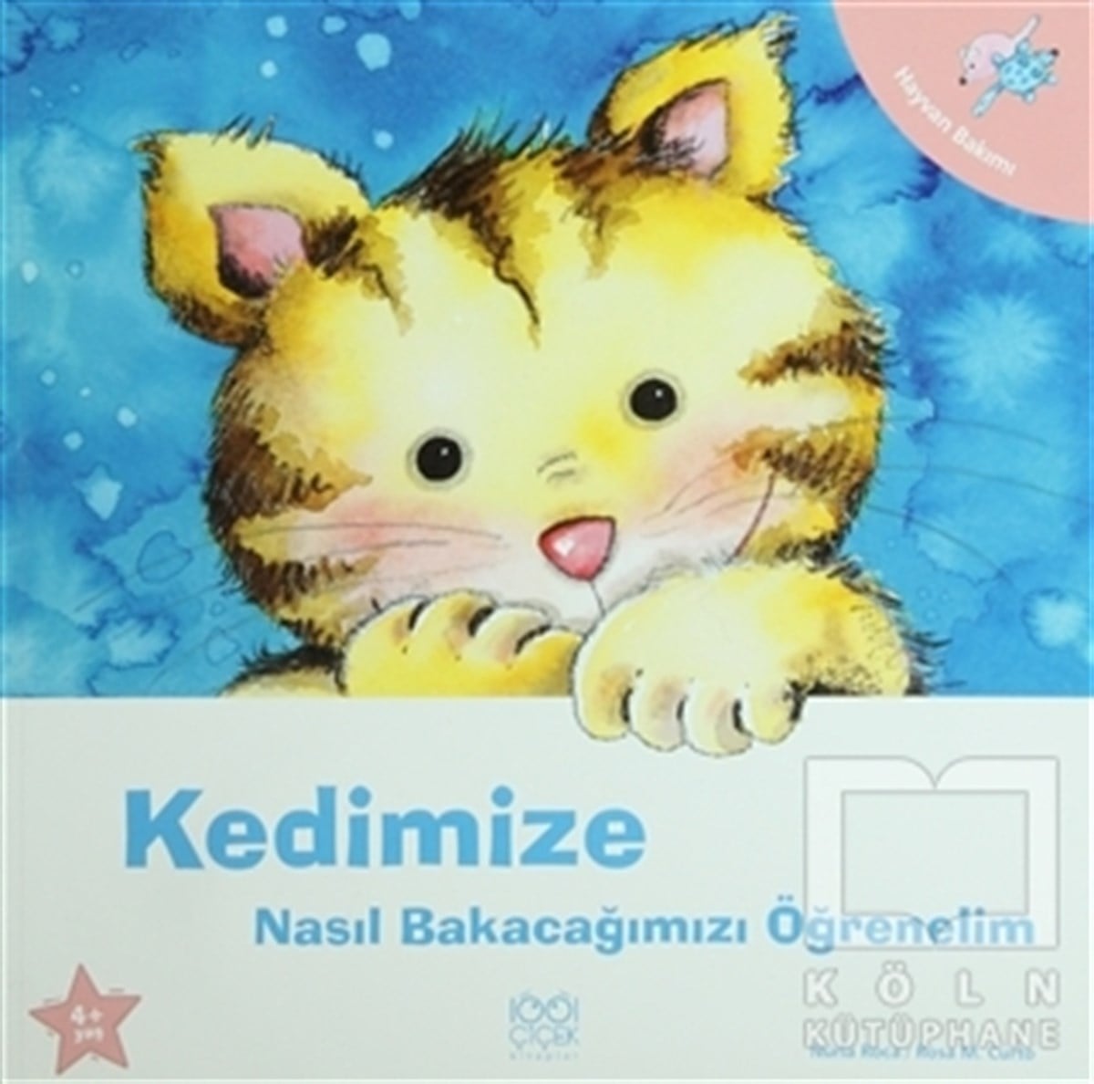 Nuria RocaHikayelerKedimize Nasıl Bakacağımızı Öğrenelim