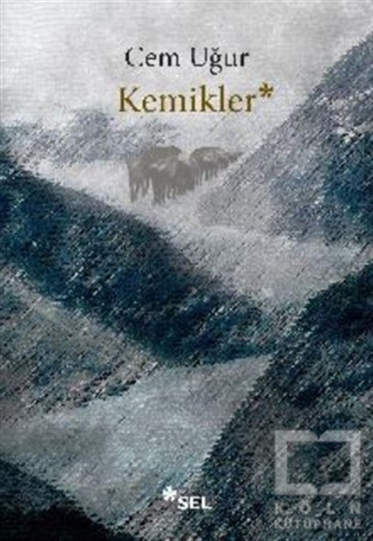 Cem UğurTürkçe RomanlarKemikler