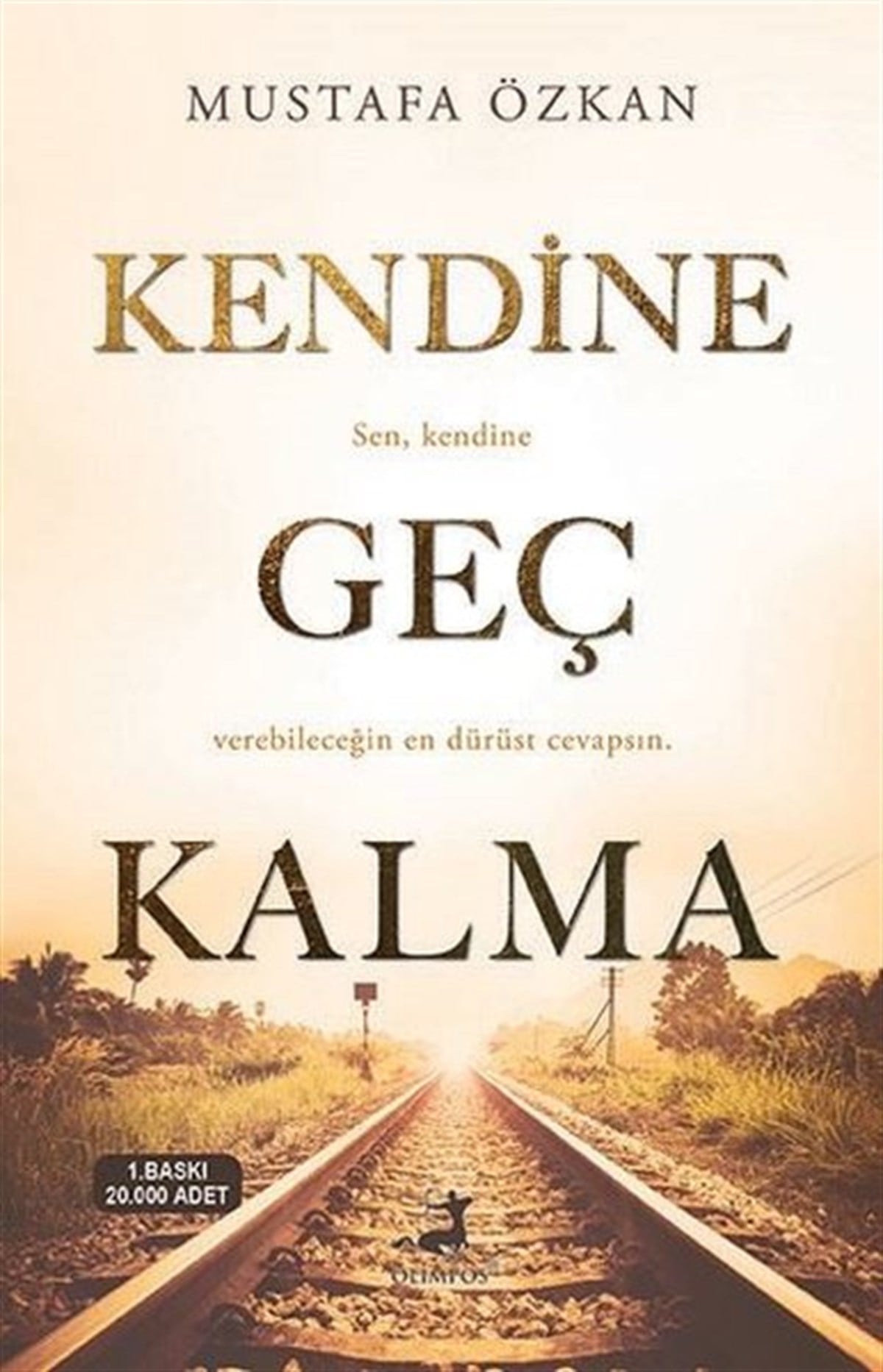 Mustafa ÖzkanDeneme KitaplarıKendine Geç Kalma