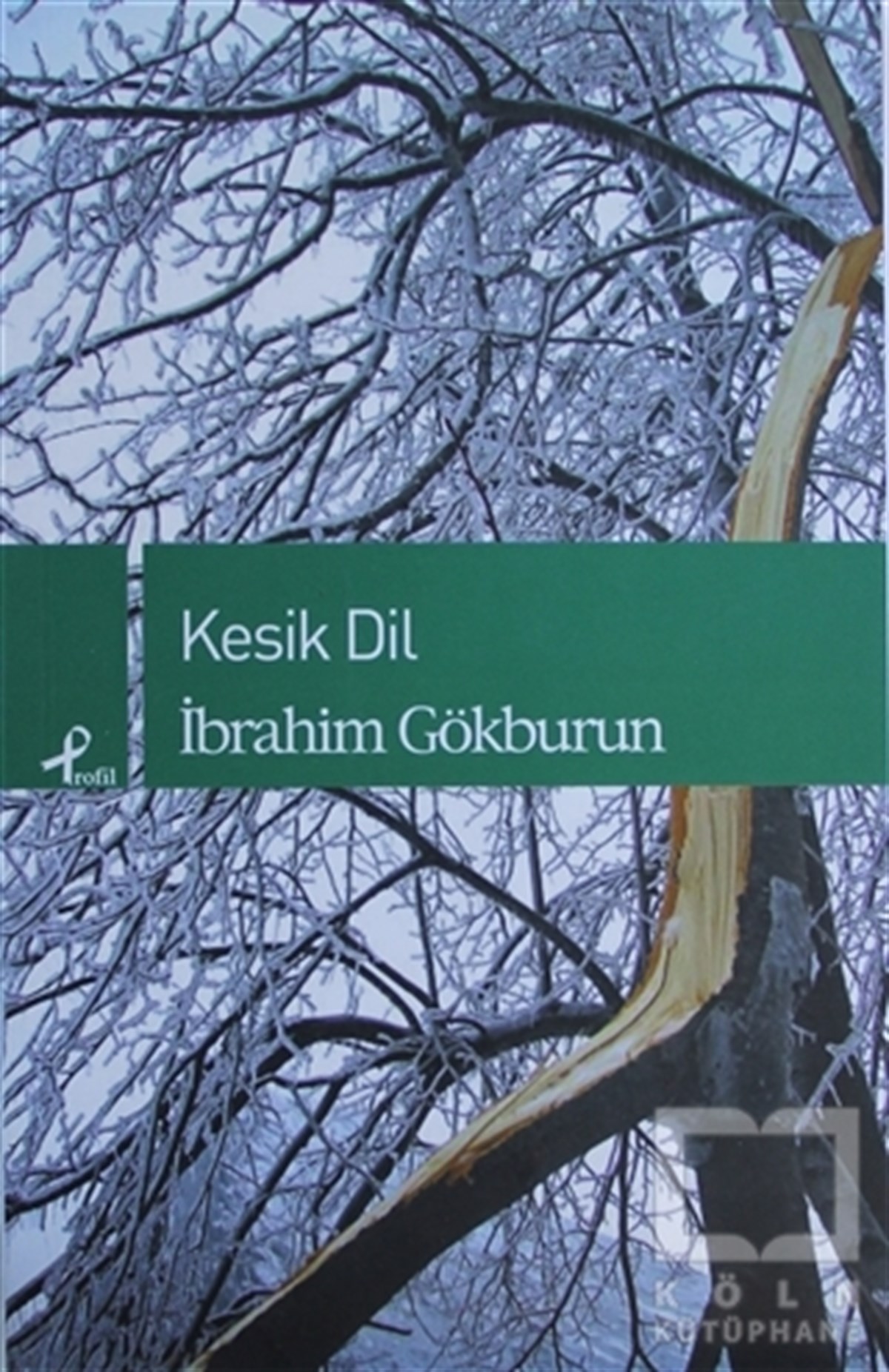 İbrahim GökburunŞiirKesik Dil