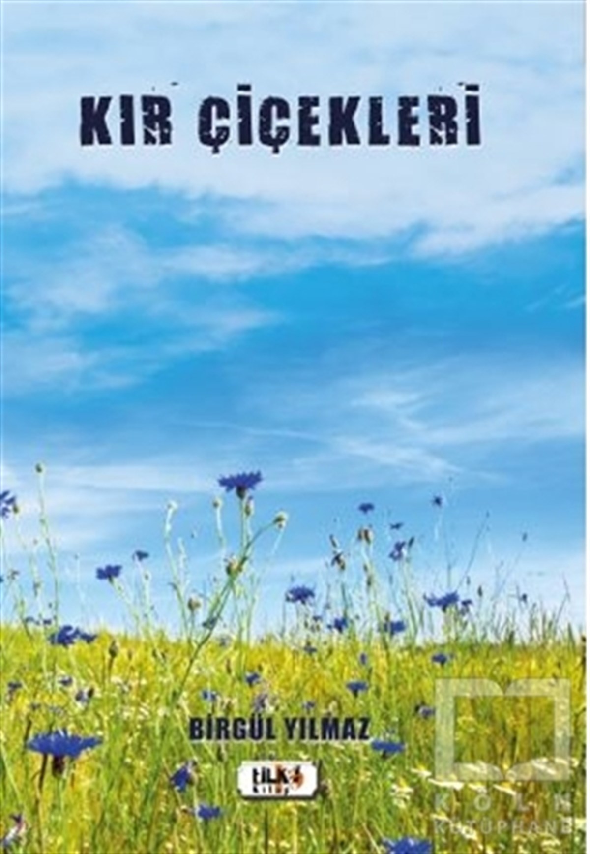 Birgül YılmazTürkçe Şiir KitaplarıKır Çiçekleri