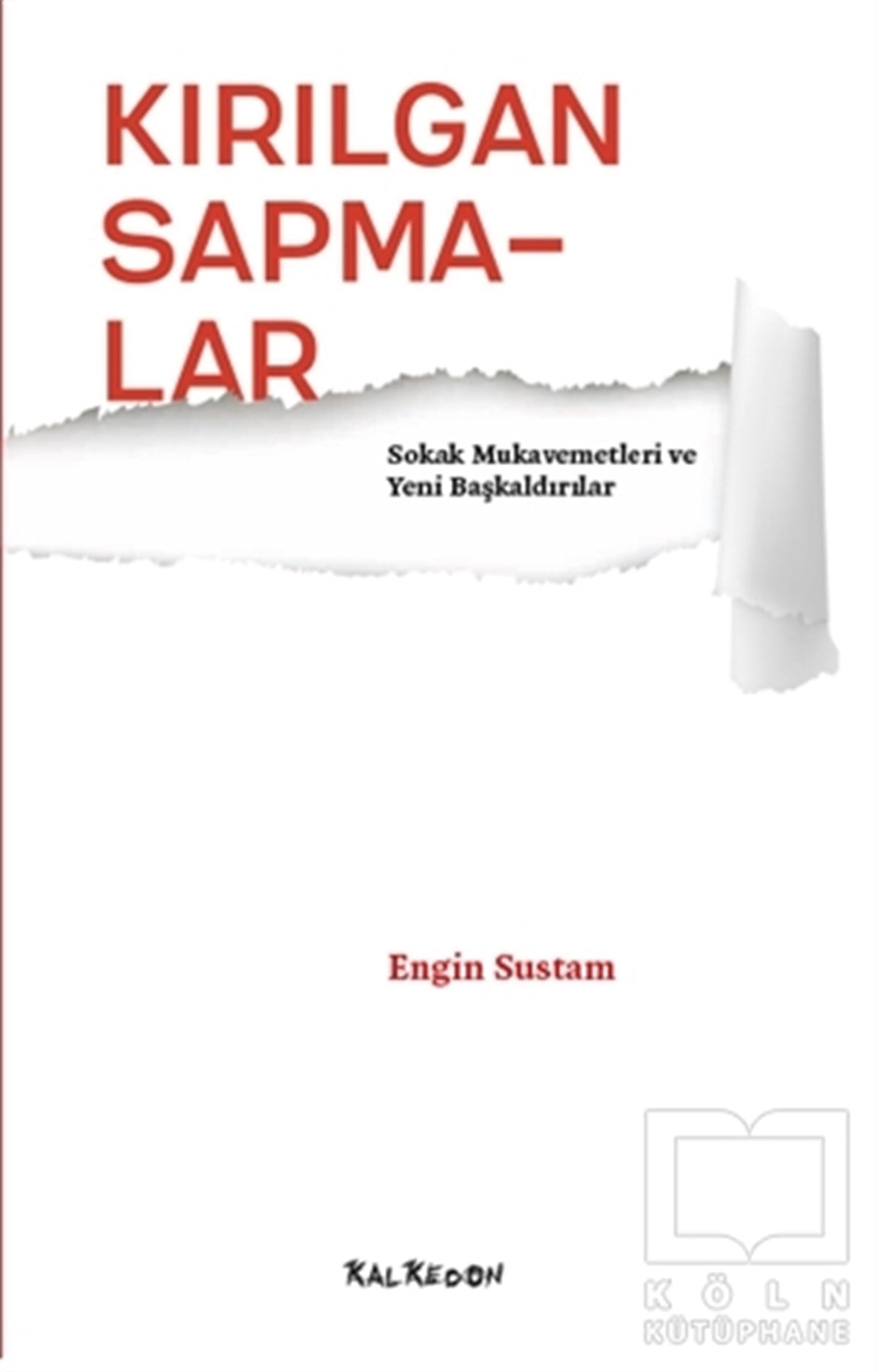 Engin SustamAraştırma & İnceleme ve Referans KitaplarıKırılgan Sapmalar