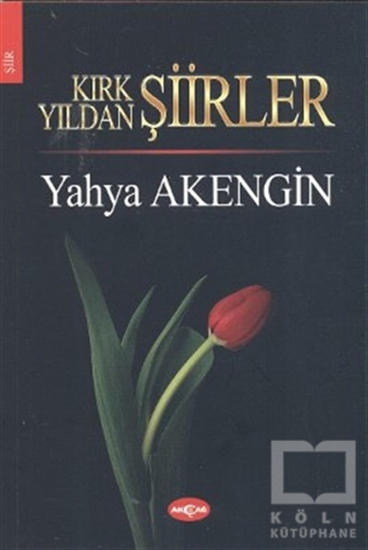 Yahya AkenginŞiirKırk Yıldan Şiirler