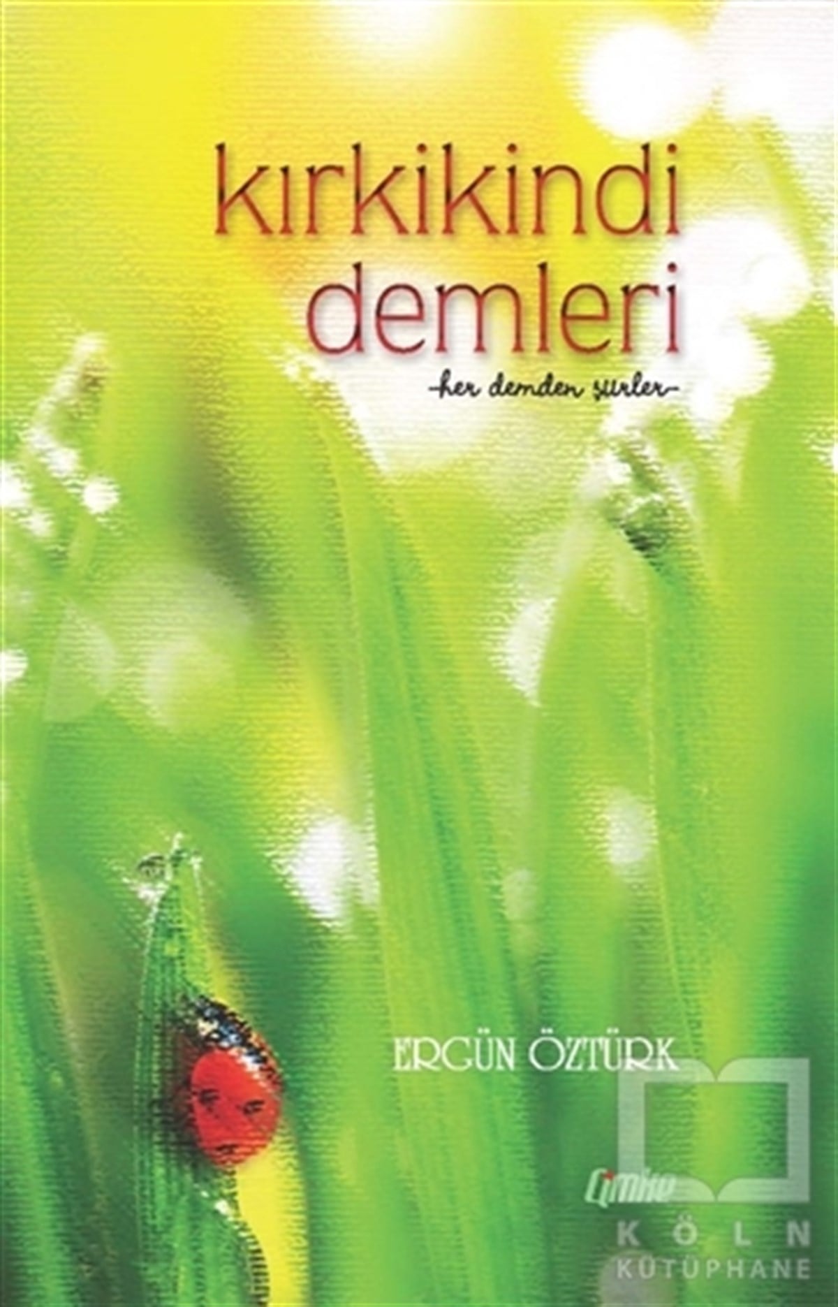 Ergün ÖztürkŞiirKırkikindi Demleri