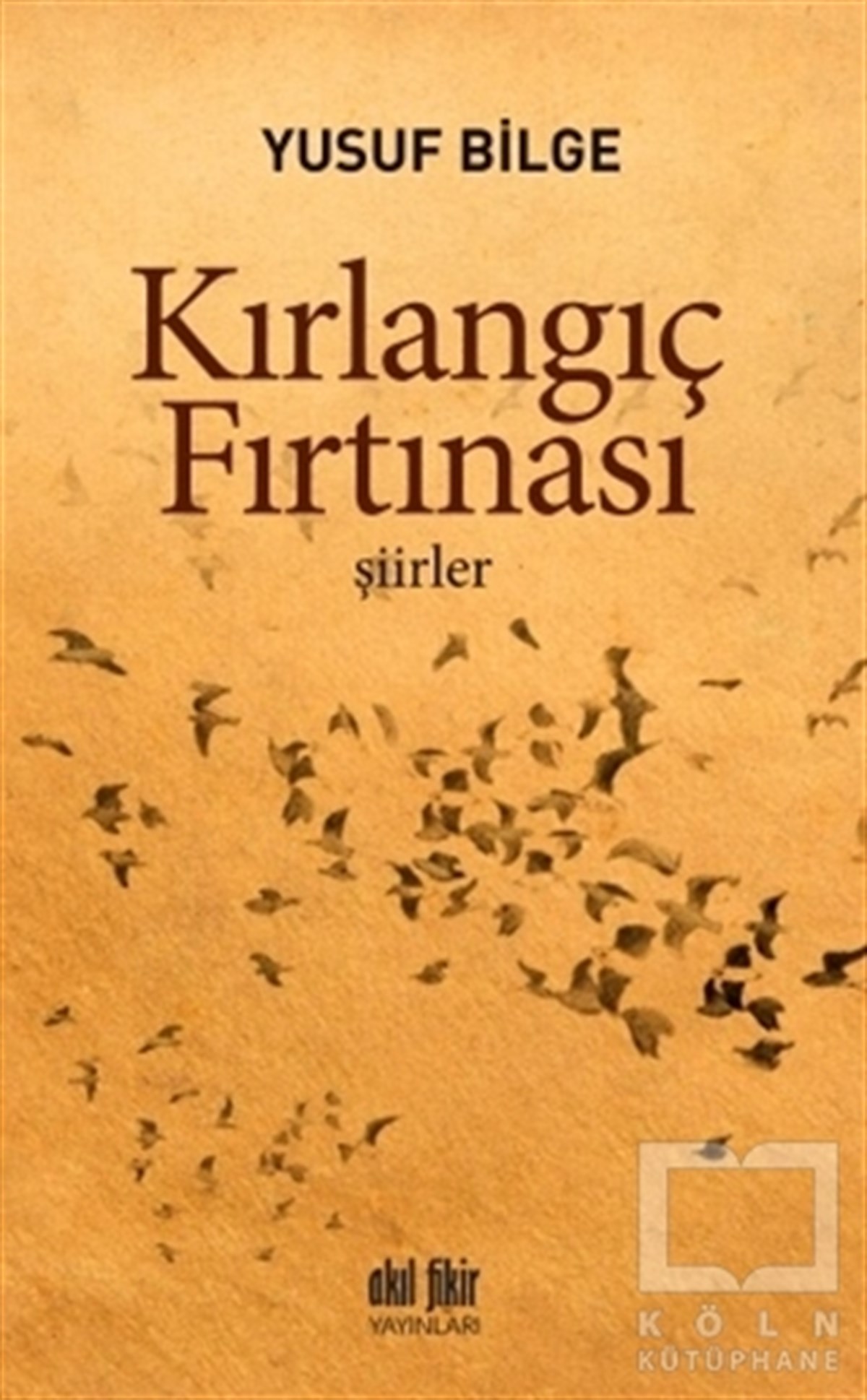 Yusuf BilgeŞiirKırlangıç Fırtınası