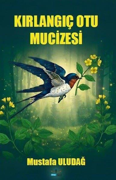 Mustafa UludağÇevre MühendisliğiKırlangıç Otu Mucizesi