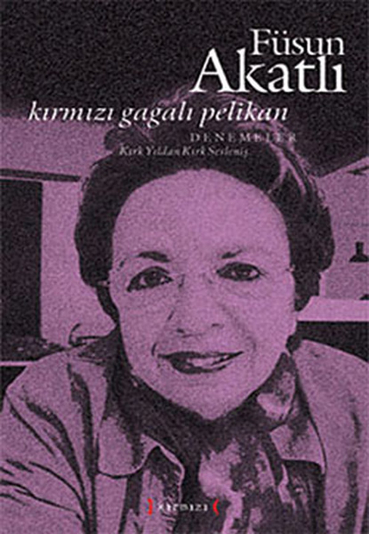 Füsun AkatlıEleştiri & Kuram & İnceleme KitaplarıKırmızı Gagalı Pelikan