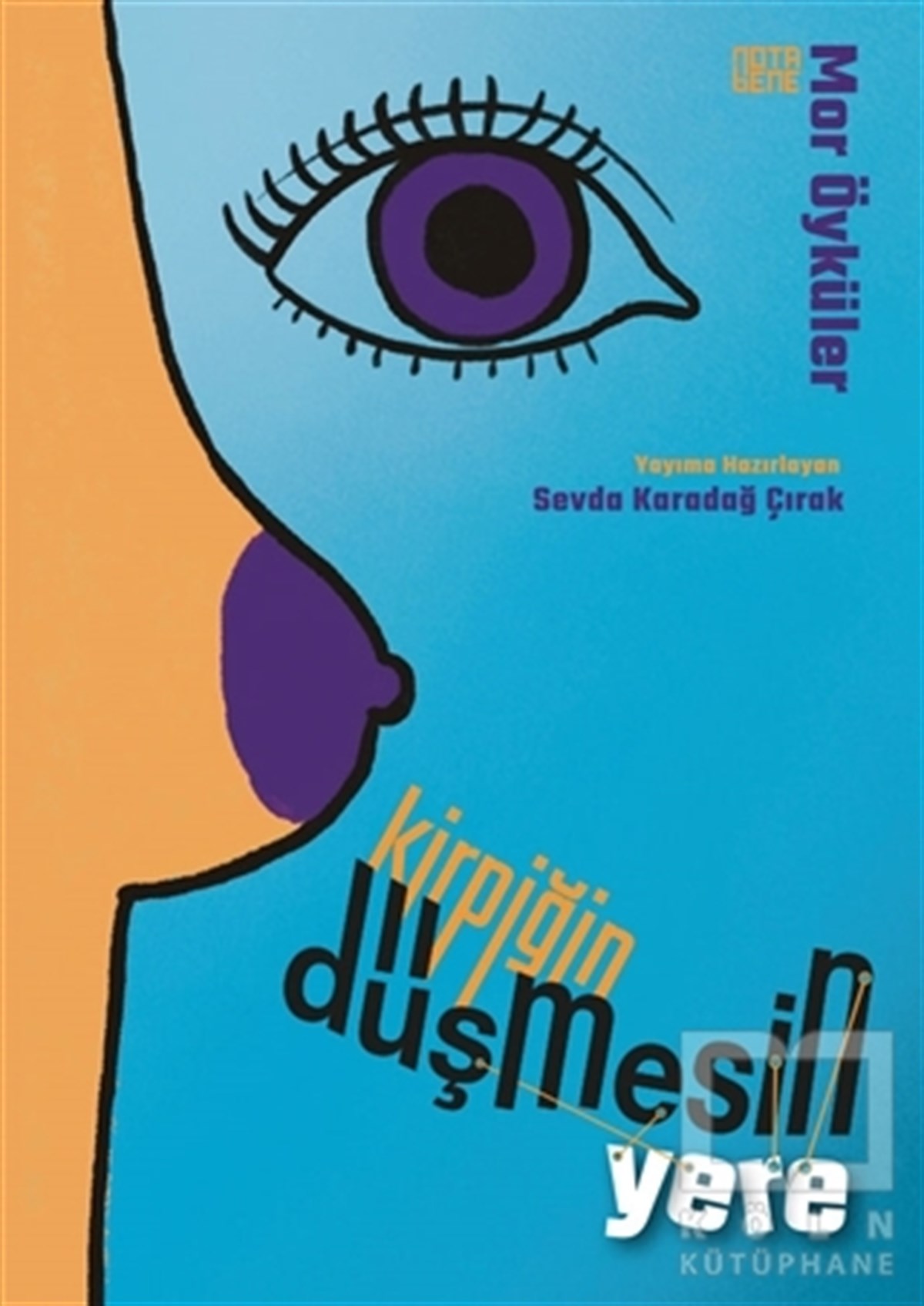 Sevda Karadağ ÇırakHikaye (Öykü) KitaplarıKirpiğin Düşmesin Yere