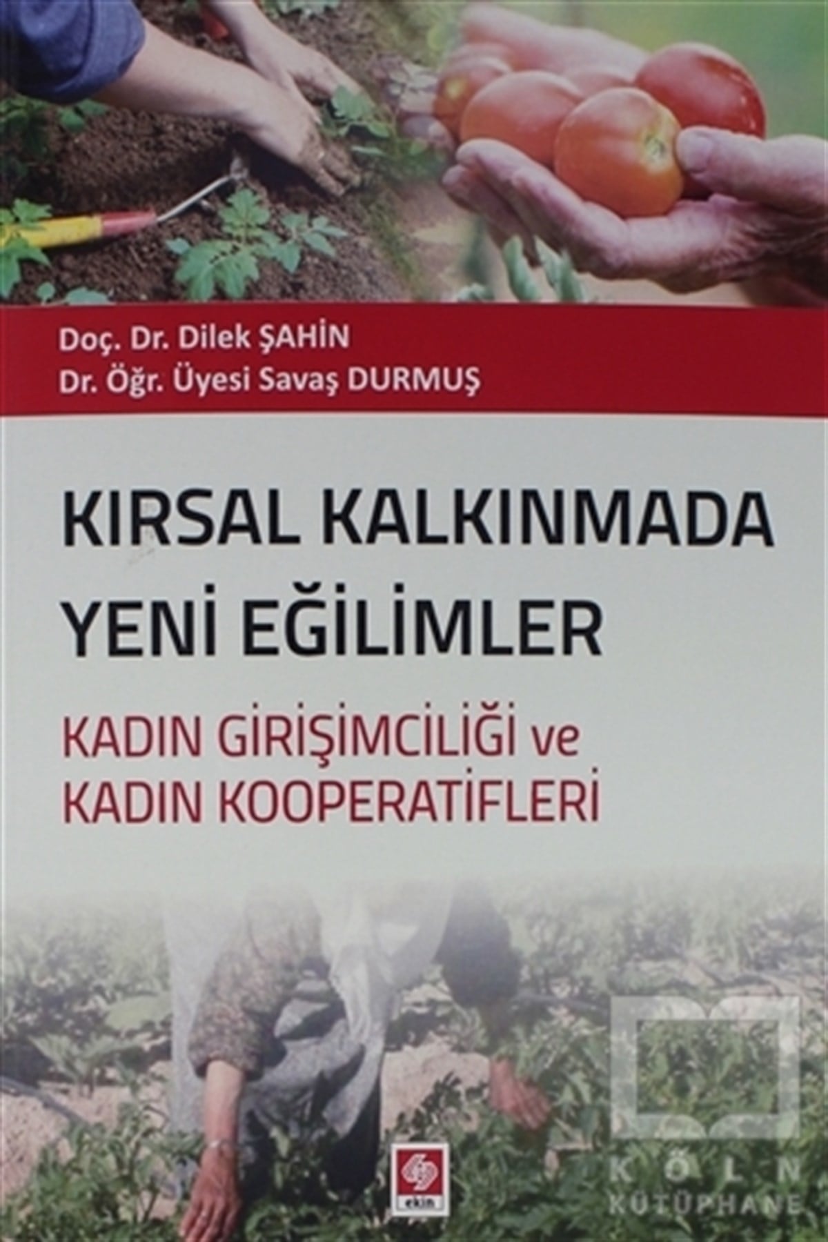 Dilek ŞahinDiğerKırsal Kalkınmada Yeni Eğilimler