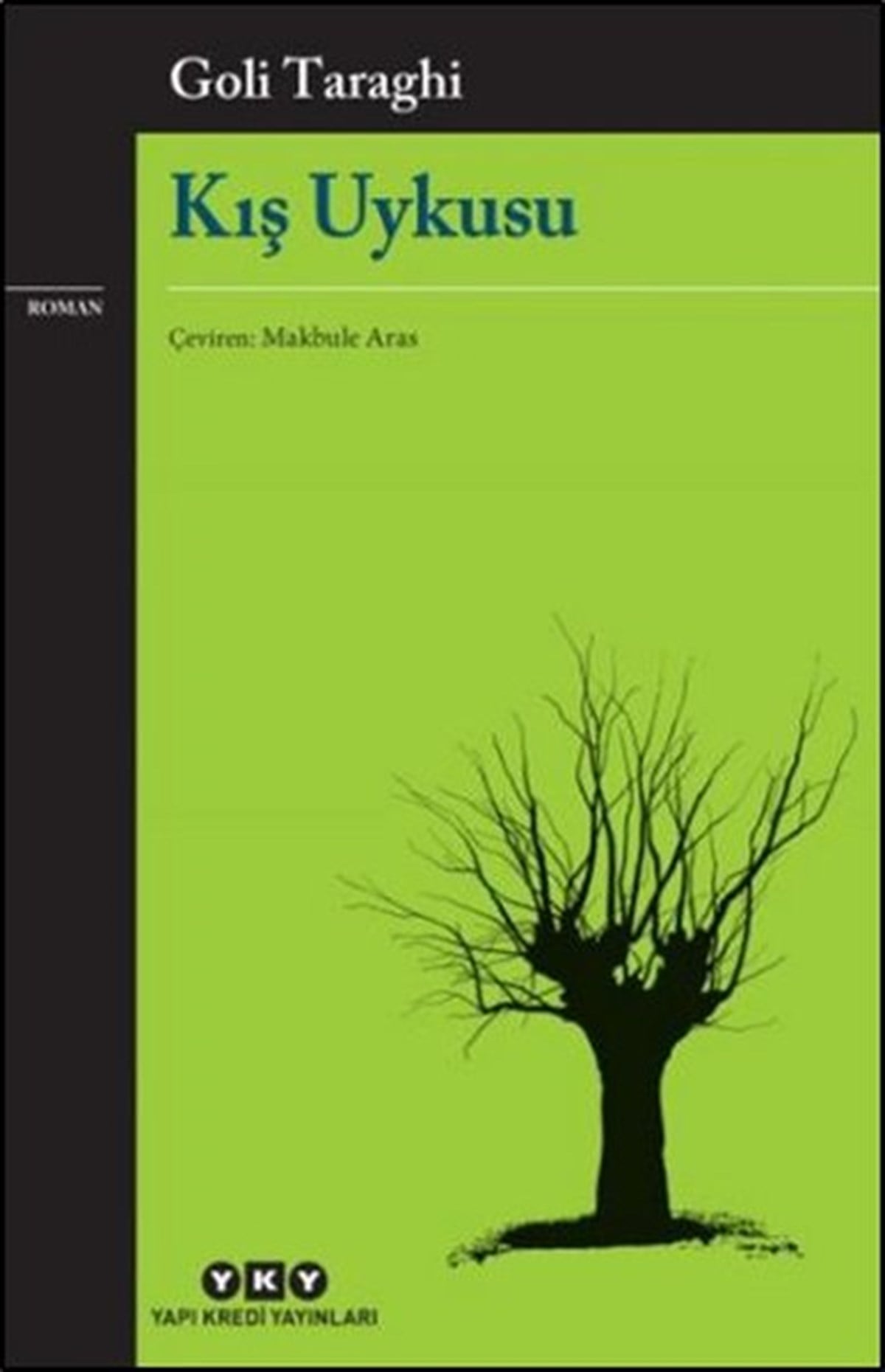 Makbule Aras EivaziDünya RomanKış Uykusu