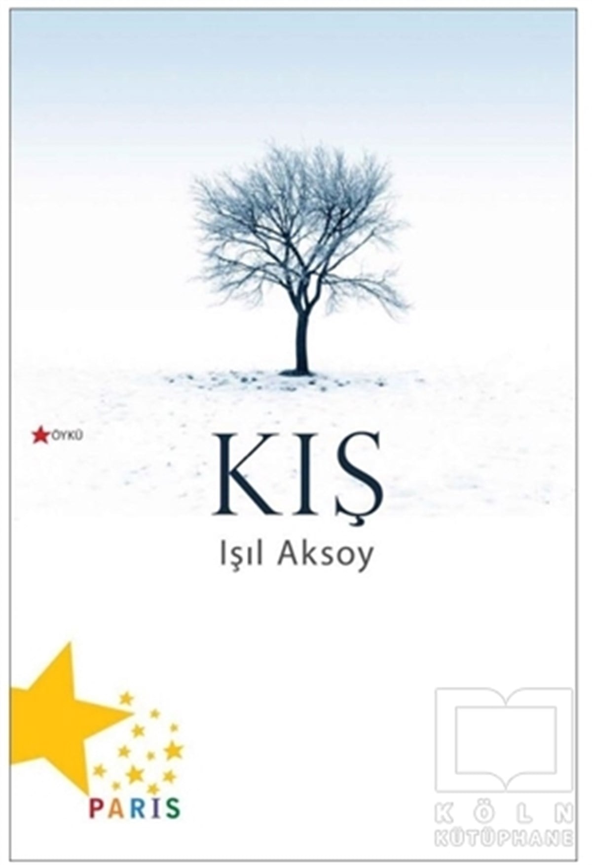 Işıl AksoyÖyküKış