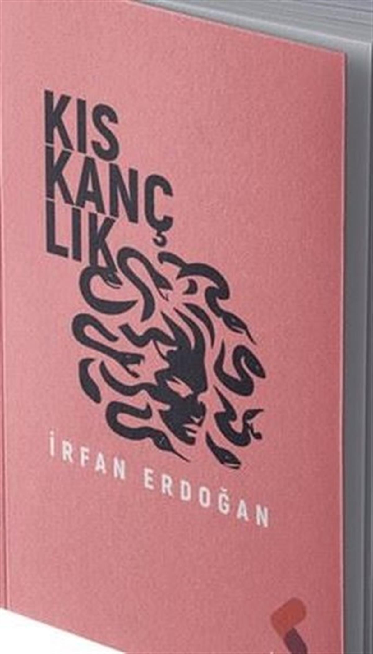 İrfan ErdoğanTürkiye RomanKıskançlık