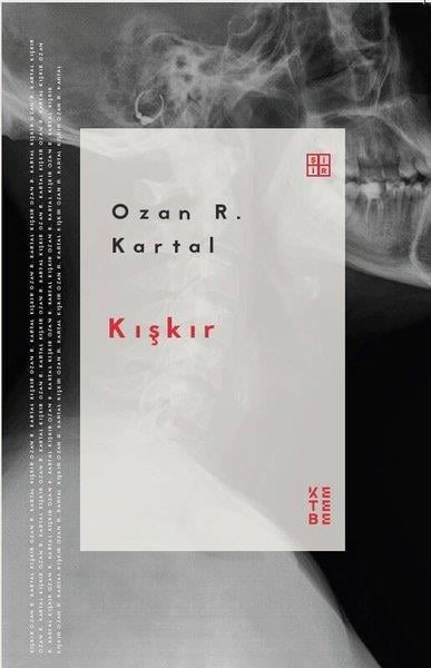 Ozan R. KartalTürk ŞiiriKışkır