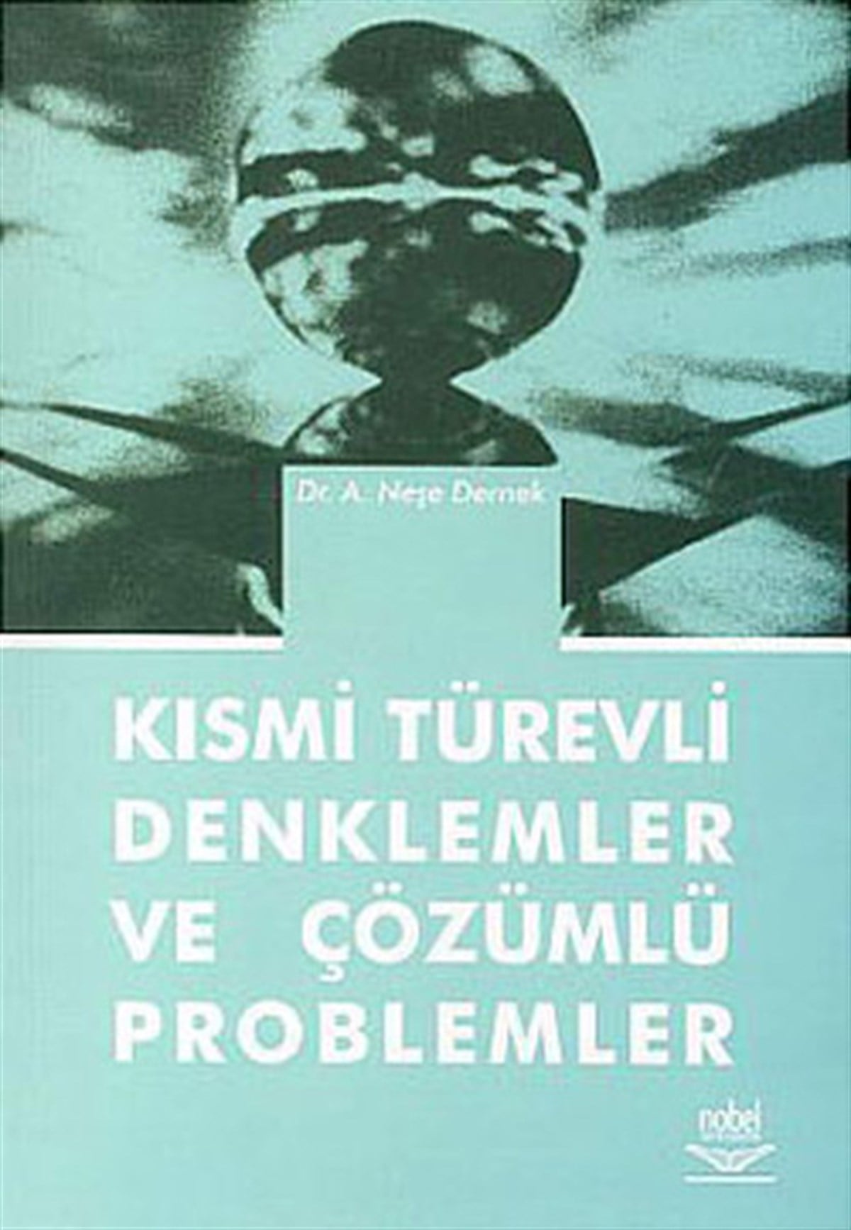 Neşe DernekMatematikKısmi Türevli Denklemler ve Çözümlü Problemler