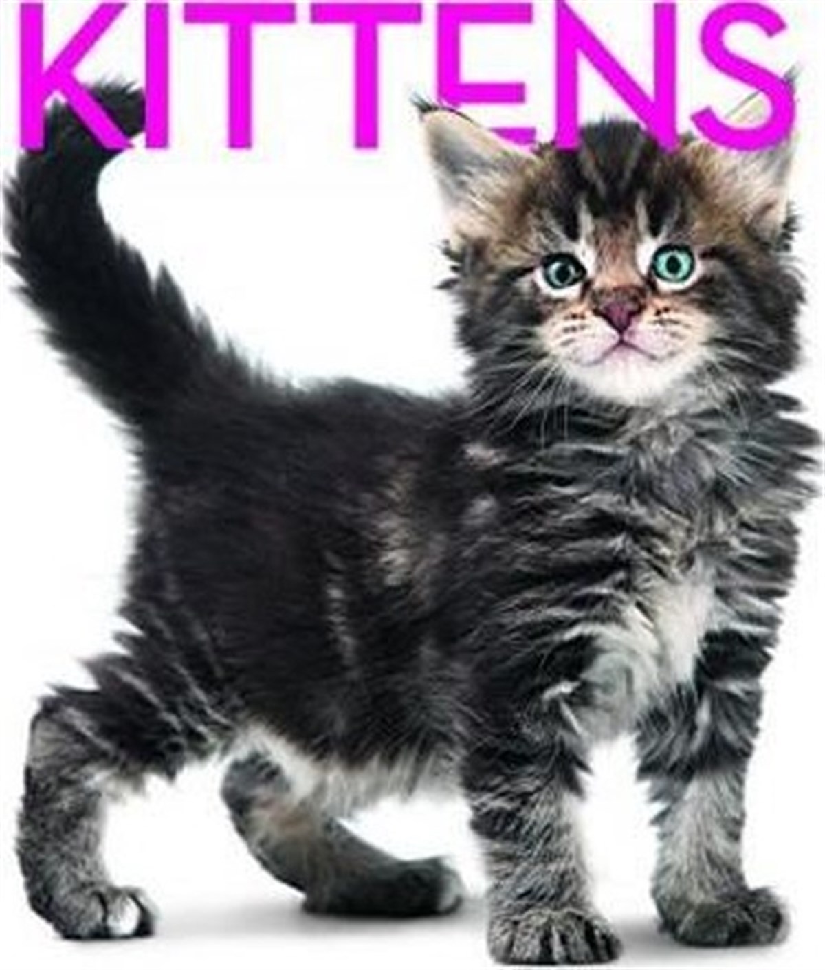 Rita Mabel SchiavoAnimal CareKittens Cubebook: Cube Book (Cube Books)