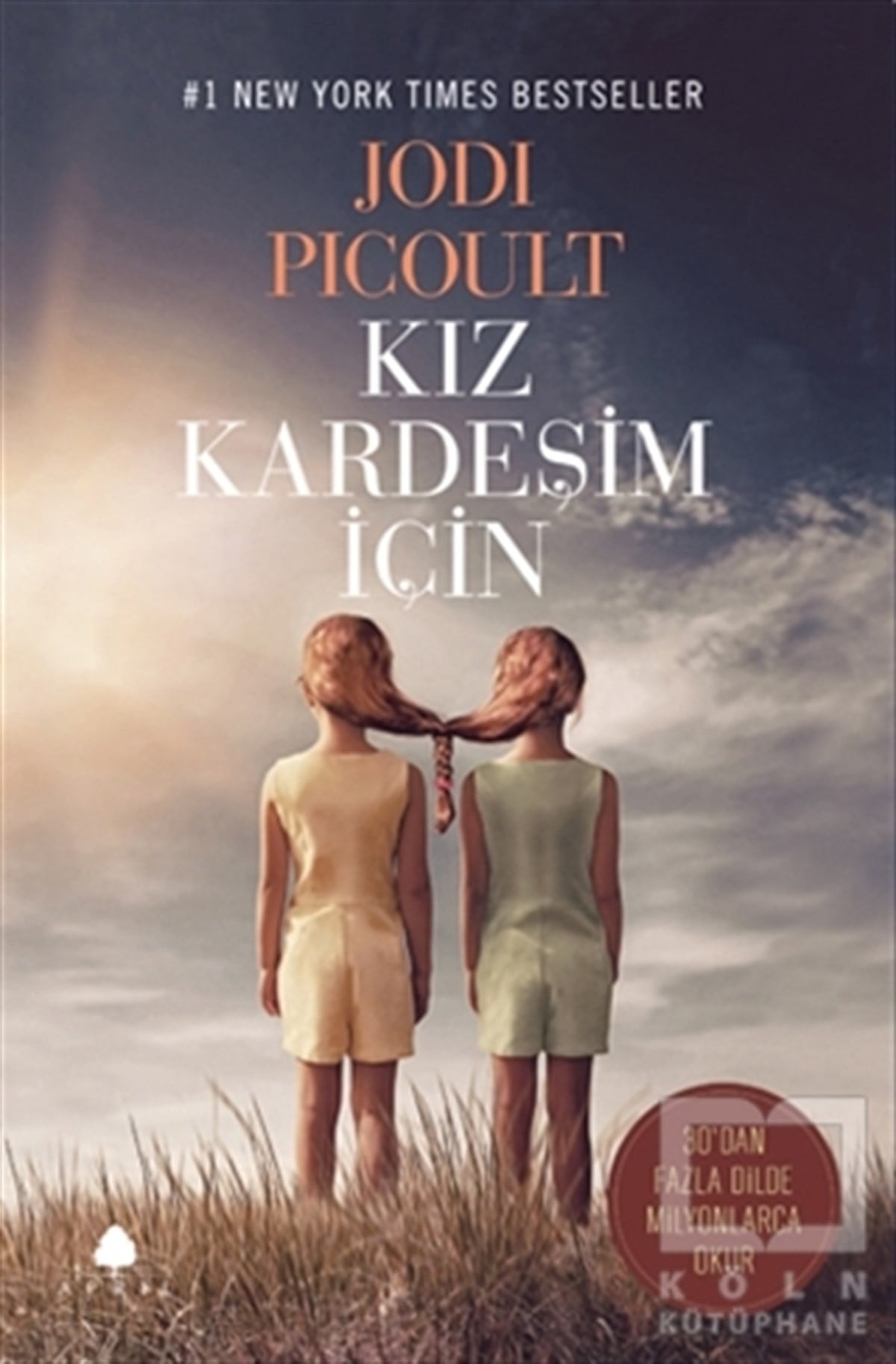 Jodi Picoultİngiliz EdebiyatıKız Kardeşim İçin