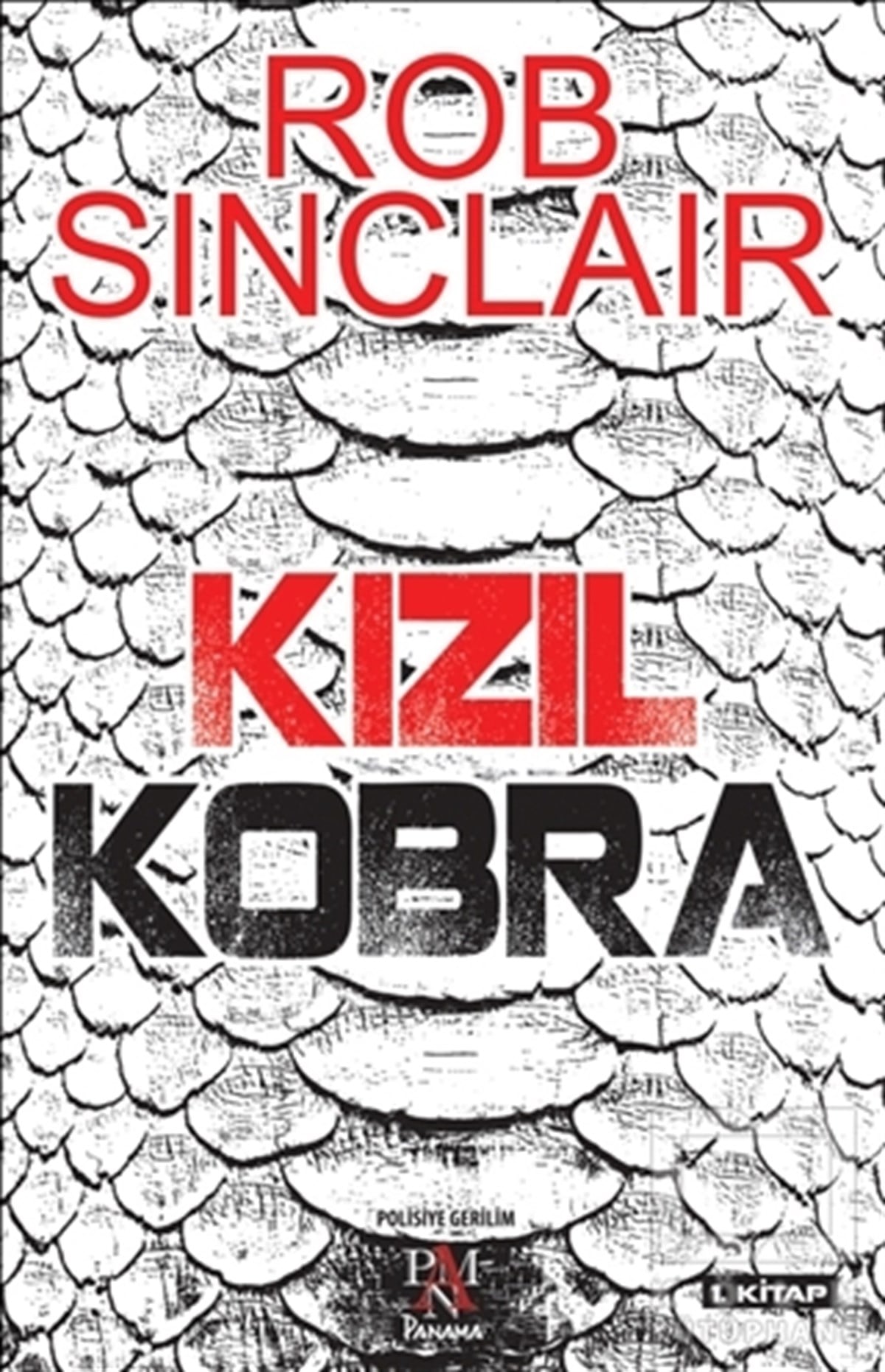 Rob SinclairPolisiyeKızıl Kobra