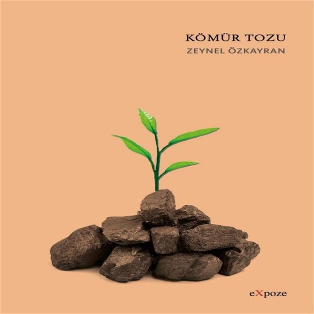 Zeynel ÖzkayranTürk ŞiiriKömür Tozu