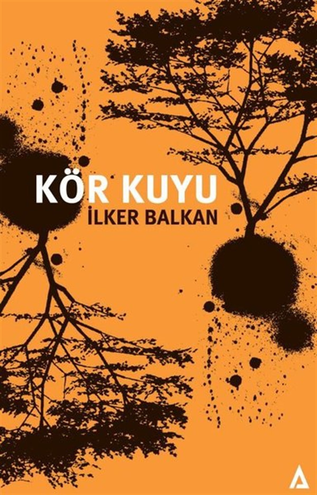 İlker BalkanTürkiye RomanKör Kuyu
