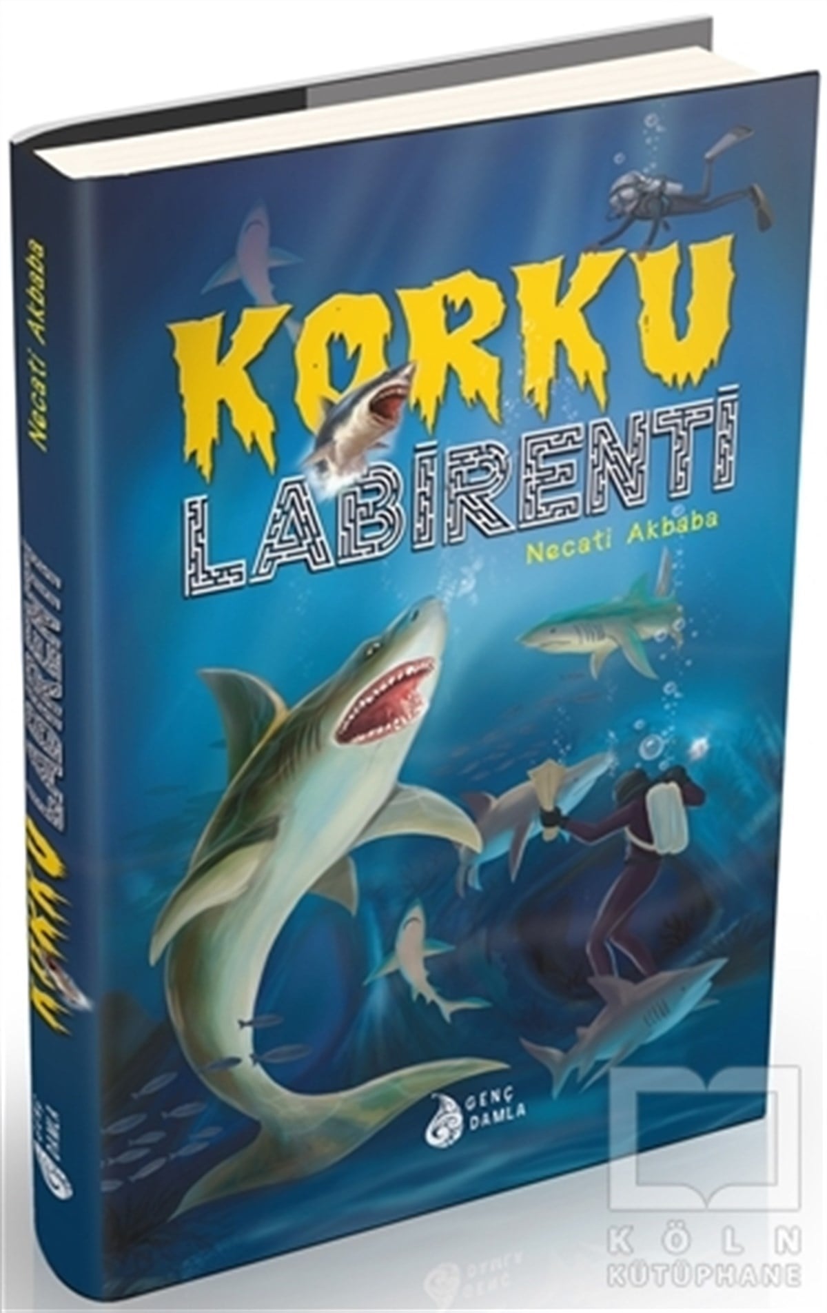 Necati AkbabaRoman-ÖyküKorku Labirenti