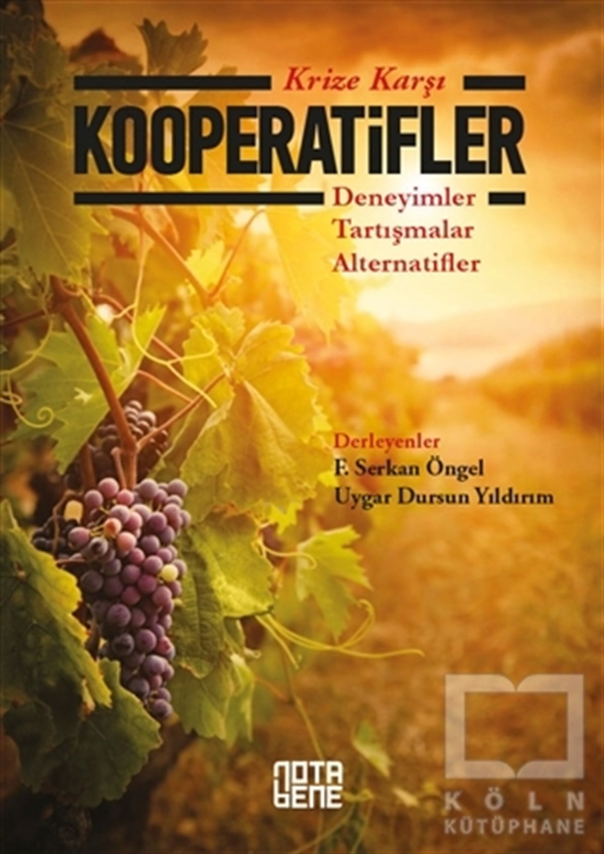 F. Serkan ÖngelAraştırma & İnceleme & Kuram KitaplarıKrize Karşı Kooperatifler
