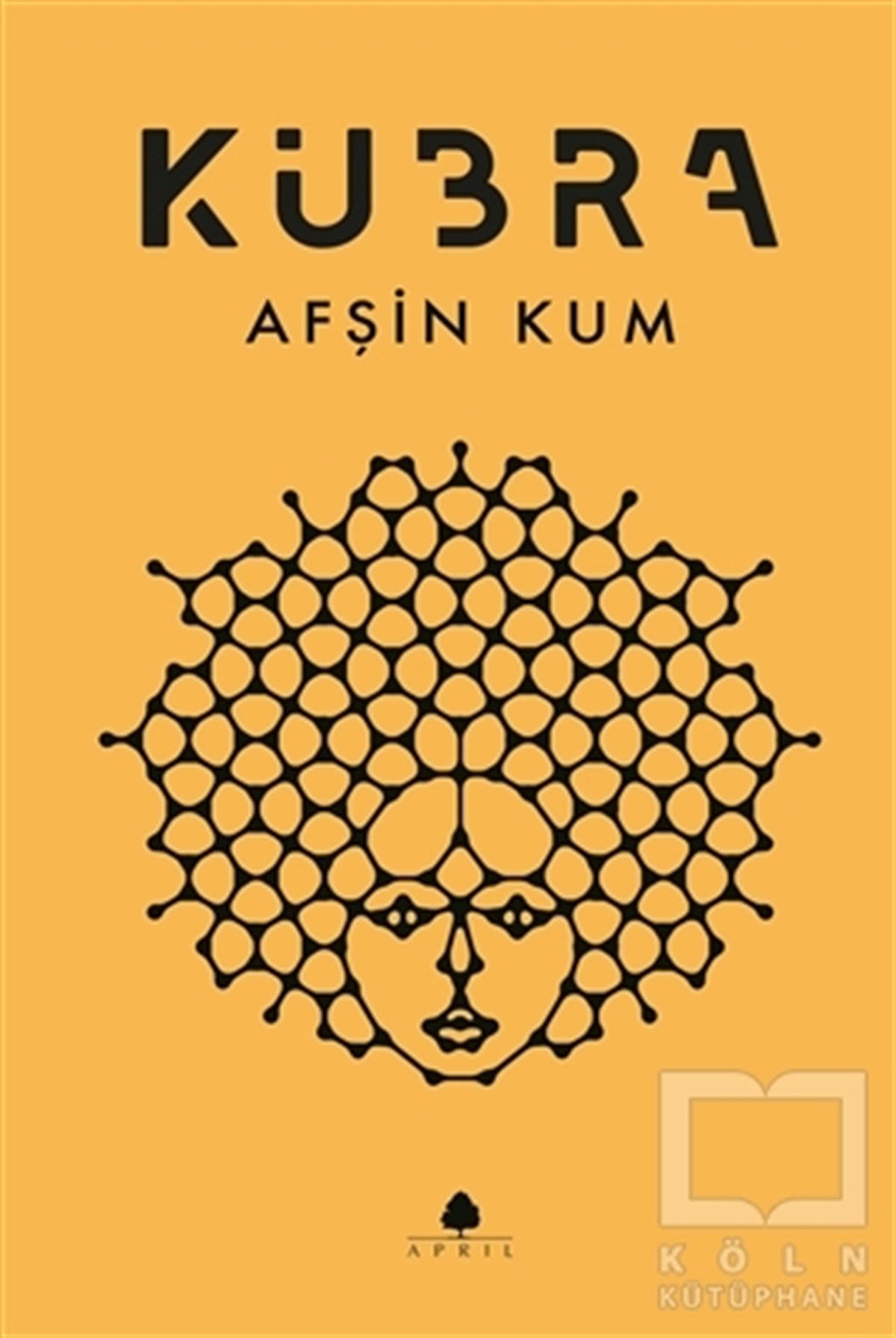 Afşin KumTürkçe RomanlarKübra