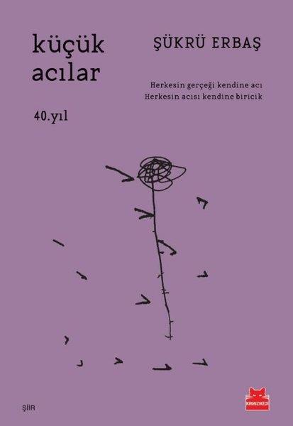 Şükrü ErbaşTürk ŞiiriKüçük Acılar - 40. Yıl