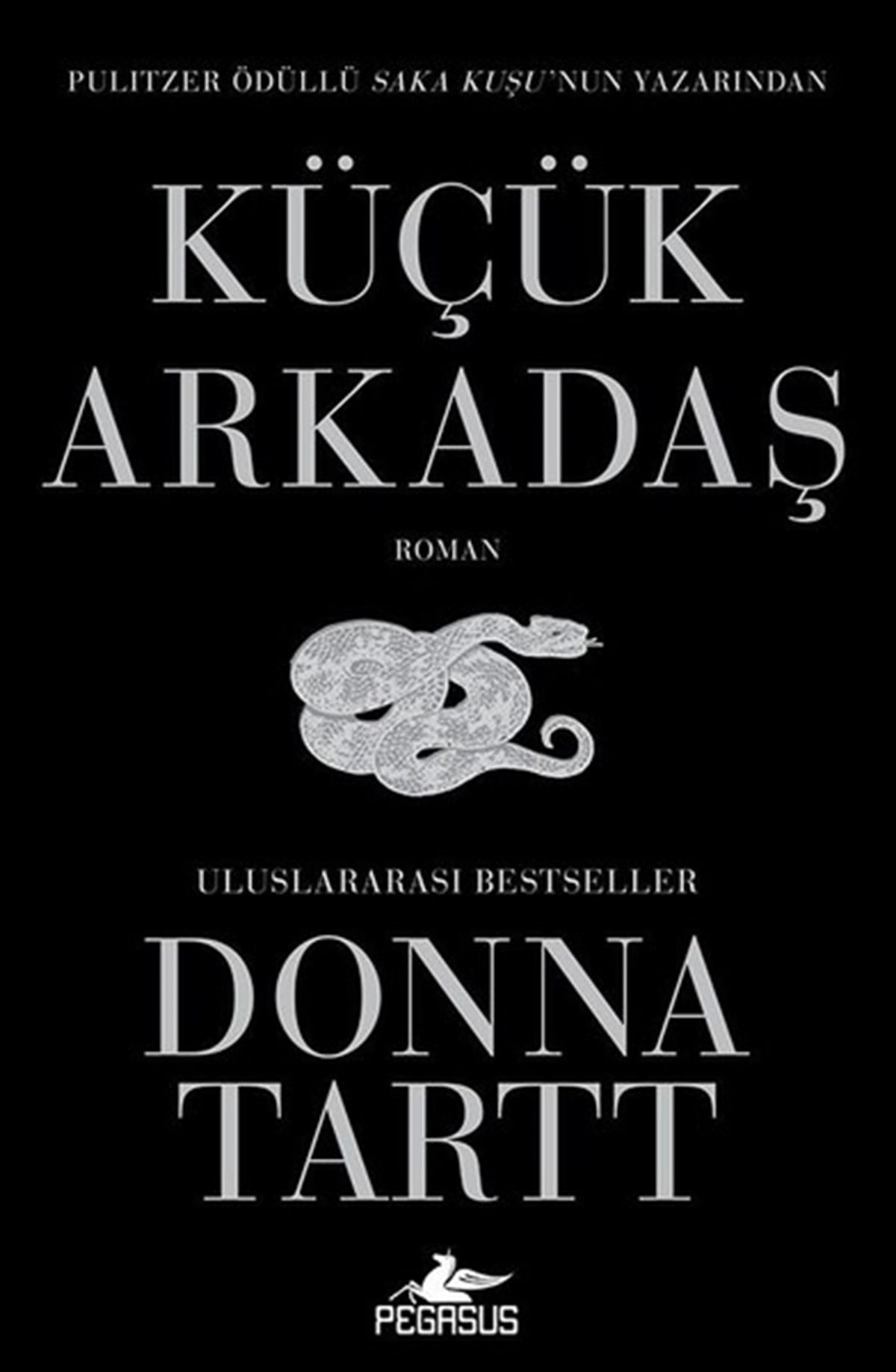 Merve Sevtap IlgınDünya RomanKüçük Arkadaş