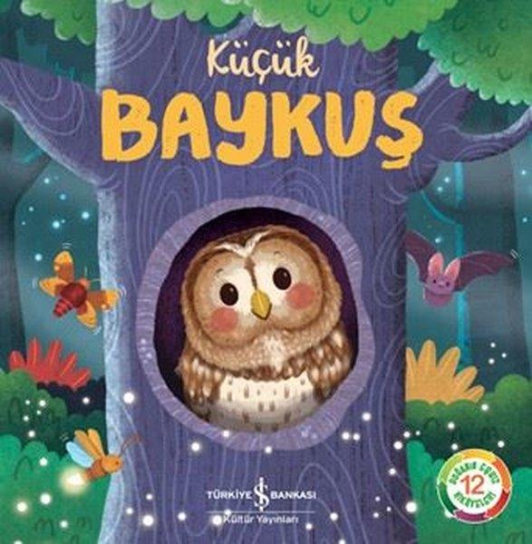 Katie TaylorEgitim Etkinlik KitaplariKüçük Baykuş
