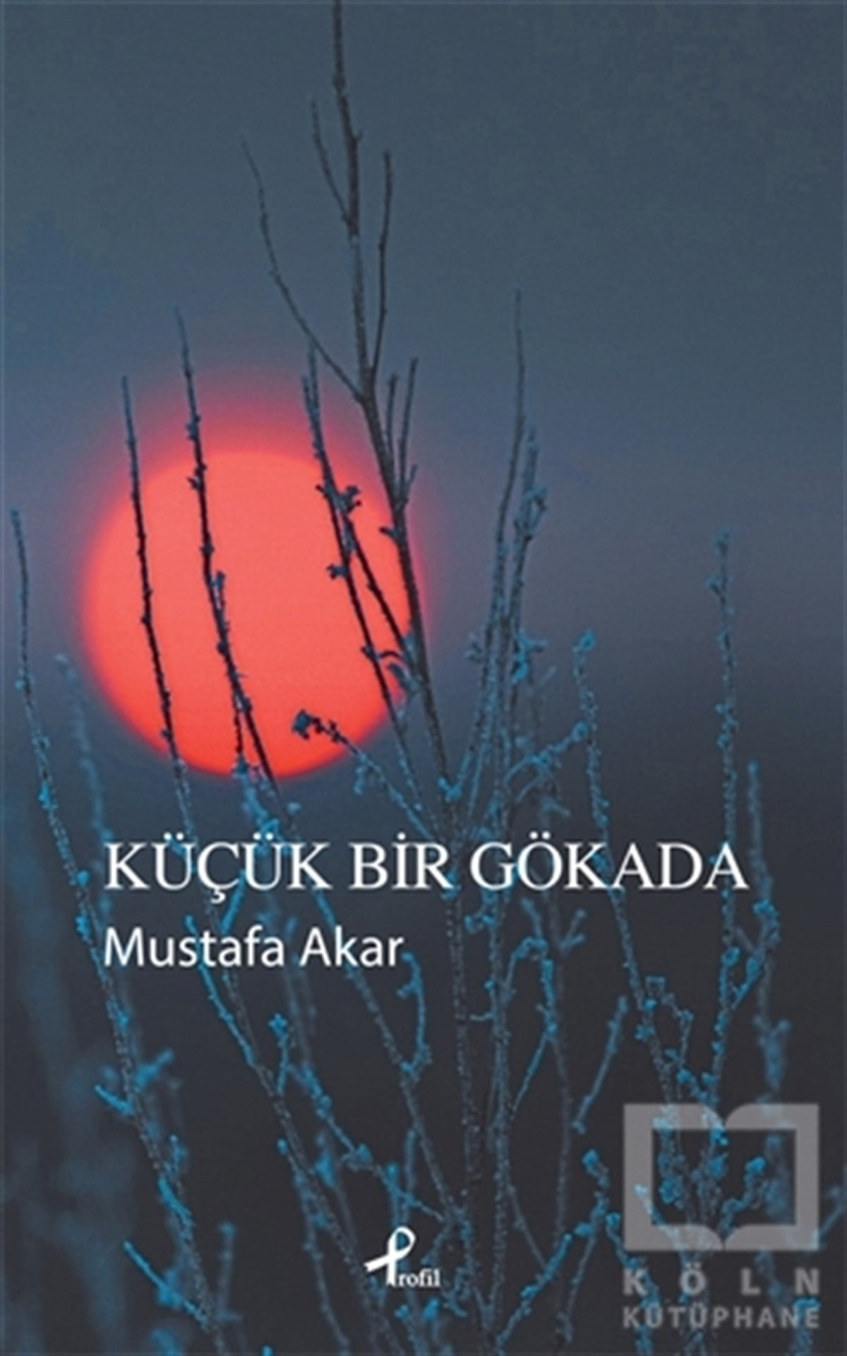 Mustafa AkarŞiirKüçük Bir Gökada