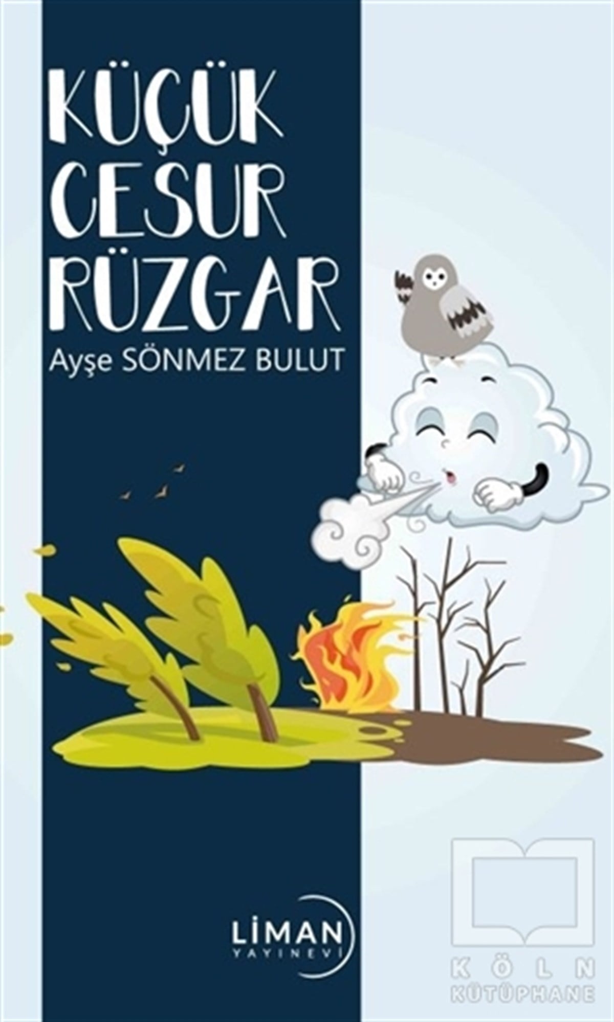 Ayşe Sönmez BulutHikaye (Öykü) KitaplarıKüçük Cesur Rüzgar