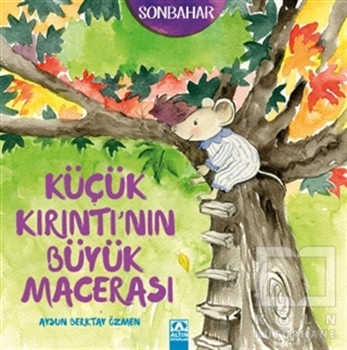 Aysun Berktay ÖzmenHikayelerKüçük Kırıntı'nın Büyük Macerası