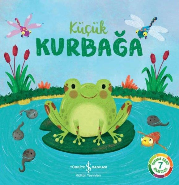 Katie TaylorEgitim Etkinlik KitaplariKüçük Kurbağa