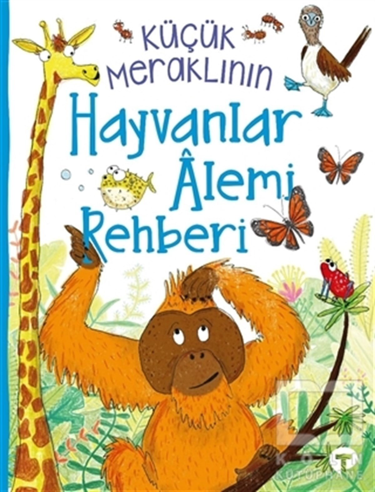 Camilla de la BedoyereÇocuk Hikaye KitaplarıKüçük Meraklının Hayvanlar Alemi Rehberi