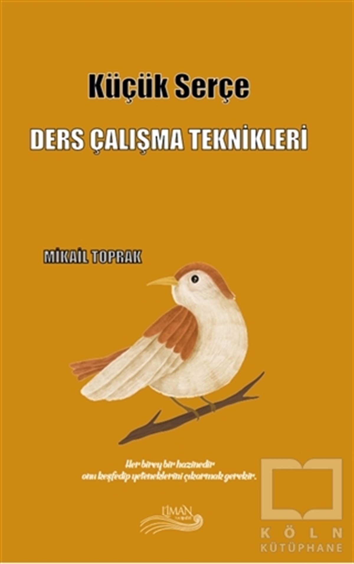 Mikail ToprakDiğerKüçük Serçe
