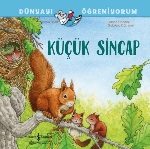 Gabriela KrümmelEgitim Etkinlik KitaplariKüçük Sincap - Dünyayı Öğreniyorum