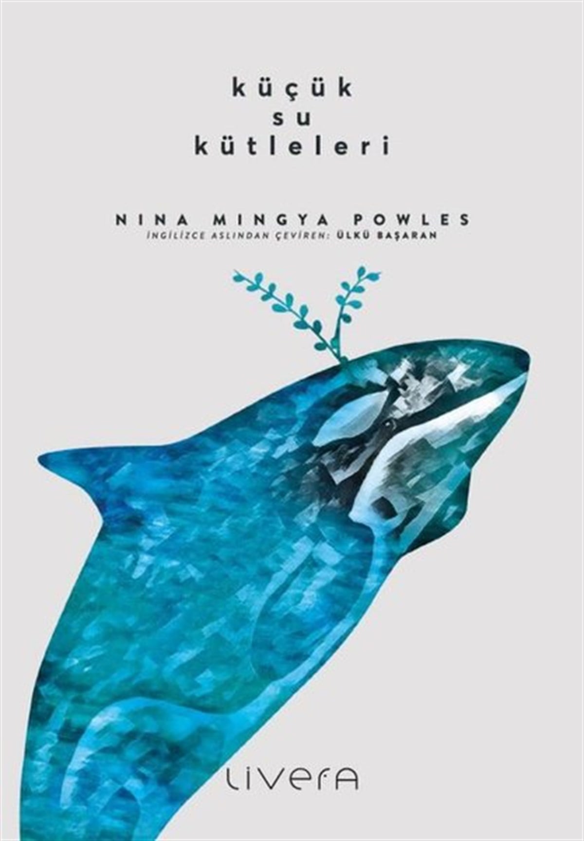 Nina Mingya PowlesDünya RomanKüçük Su Kütleleri