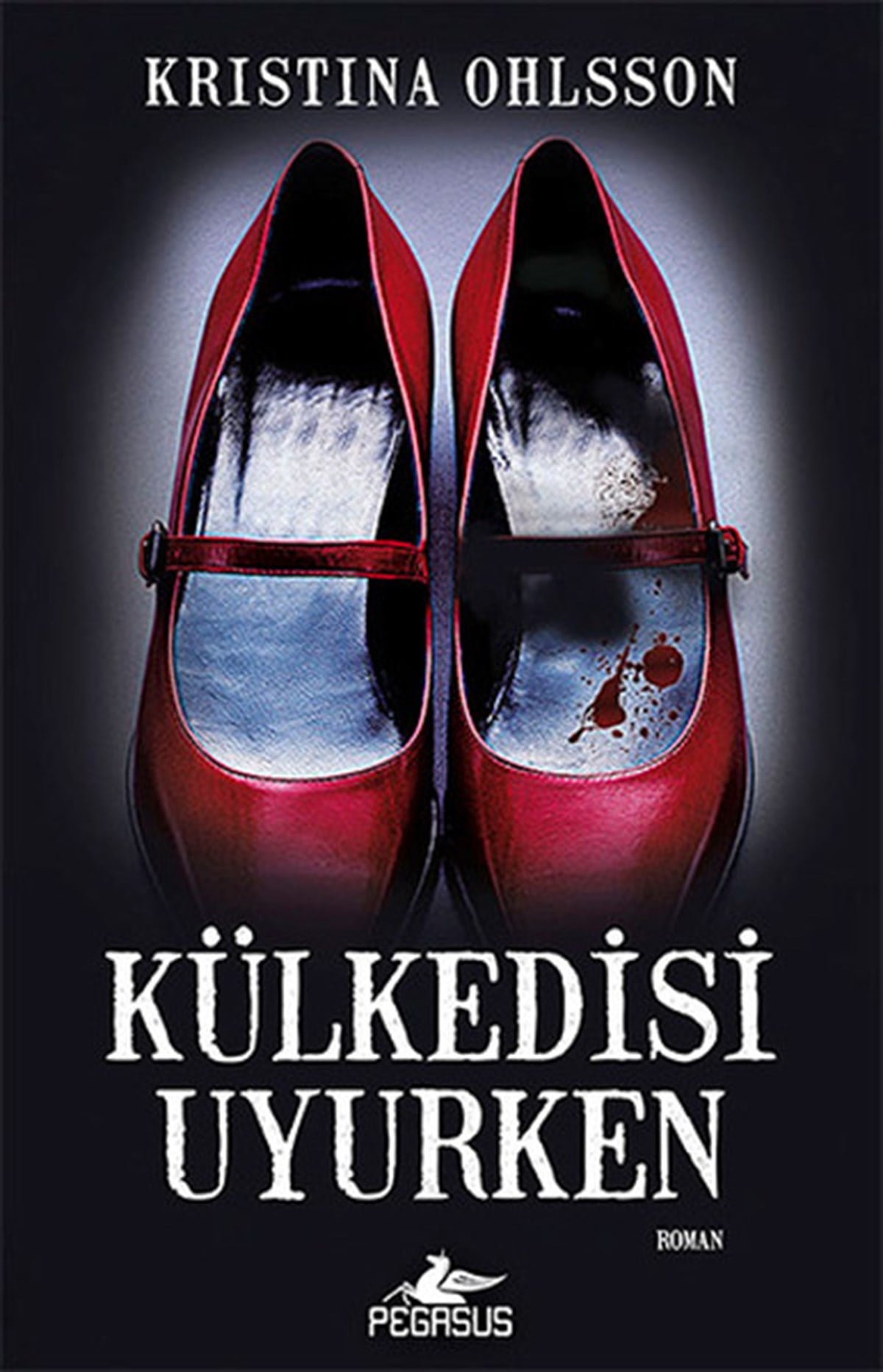 Kristina OhlssonPolisiye Romanlar & Cinayet RomanlarıKülkedisi Uyurken