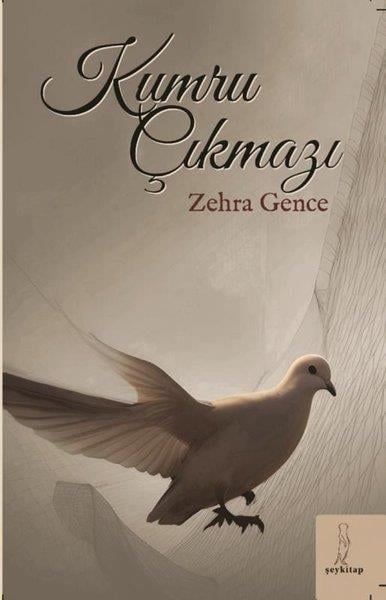 Zehra GenceTürkiye RomanKumru Çıkmazı